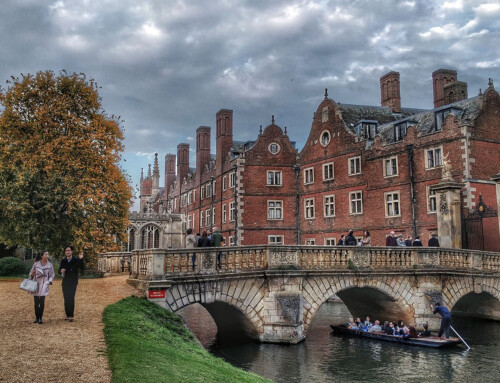 Discover the Joy of Punting Tours in Cambridge
